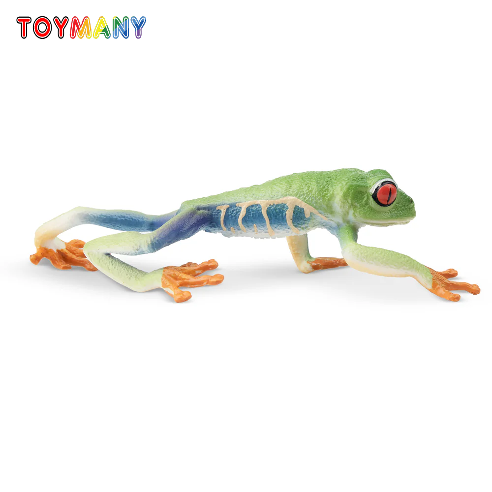 Kids Toys Under $5 - Toymany Simulatie Rode ogen Boomkikker Reptiel