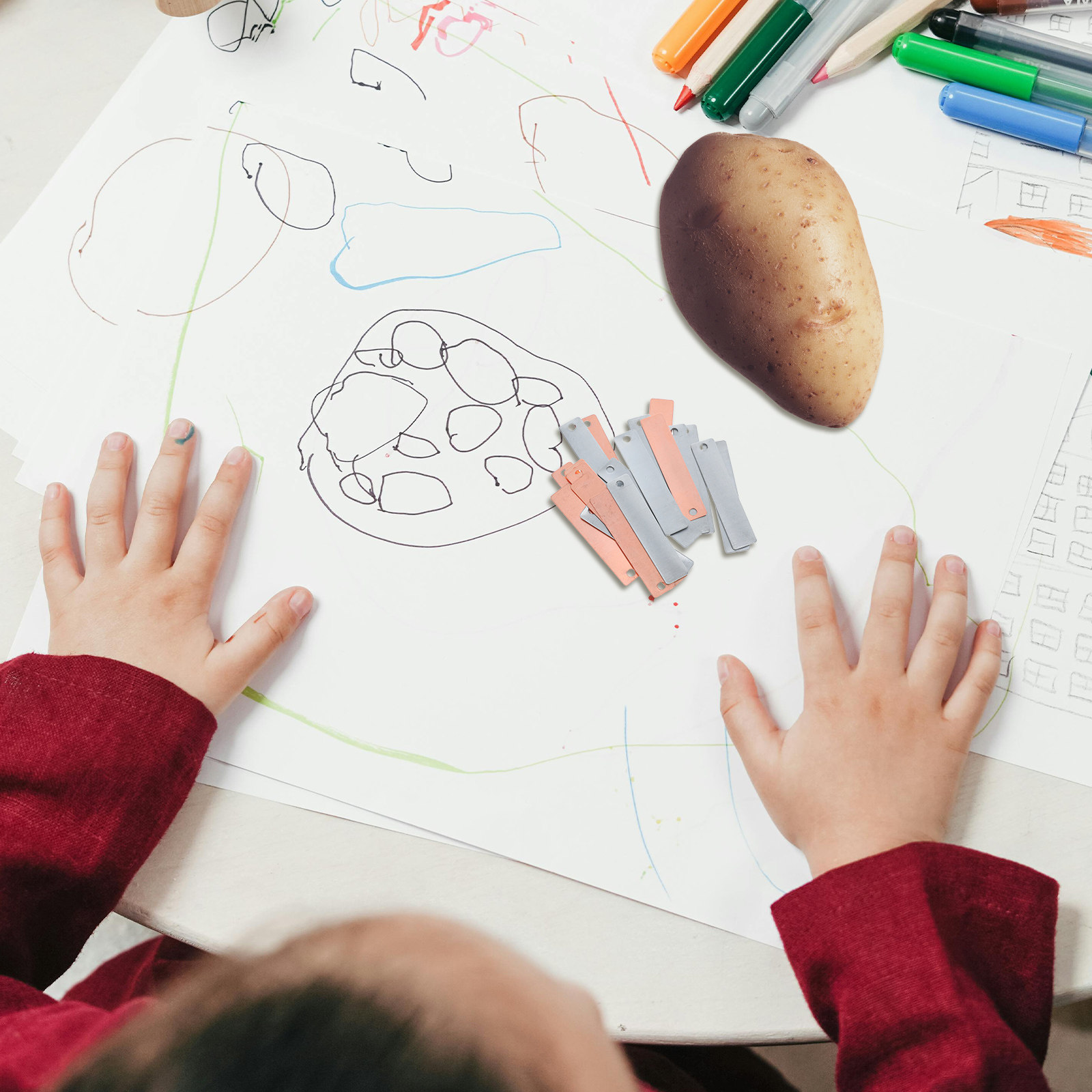 Koper- en zinkelektrodeplaten  - Science Experiment Kit recensie en prijs
