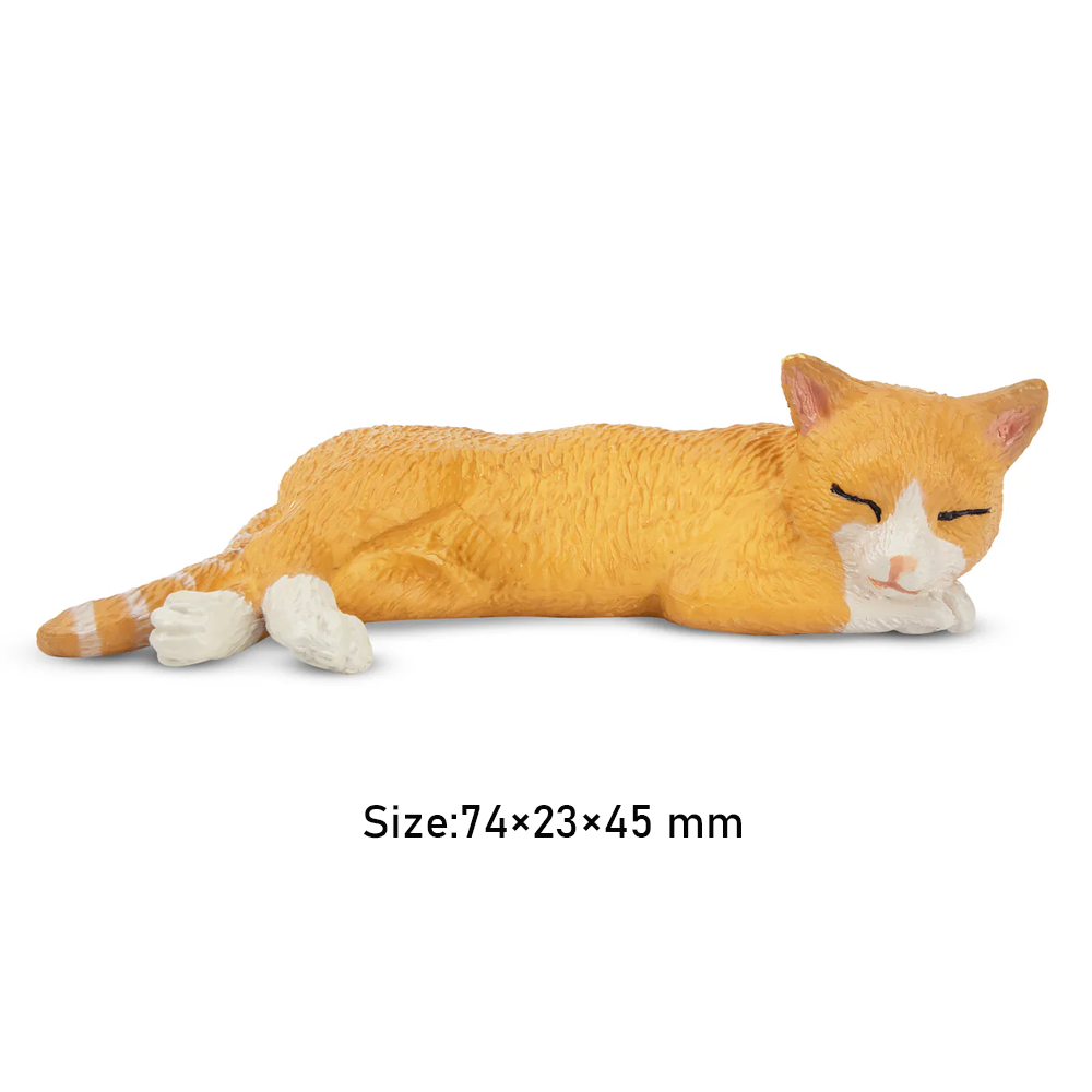 Toymany Simulatie Liggen Oranj - Kids Toys Under $5 recensie en prijs