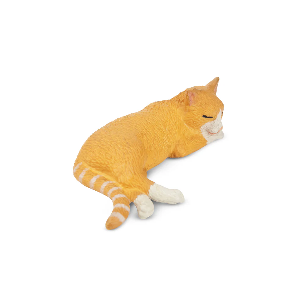 Toymany Simulatie Liggen Oranj - Kids Toys Under $5 recensie en prijs
