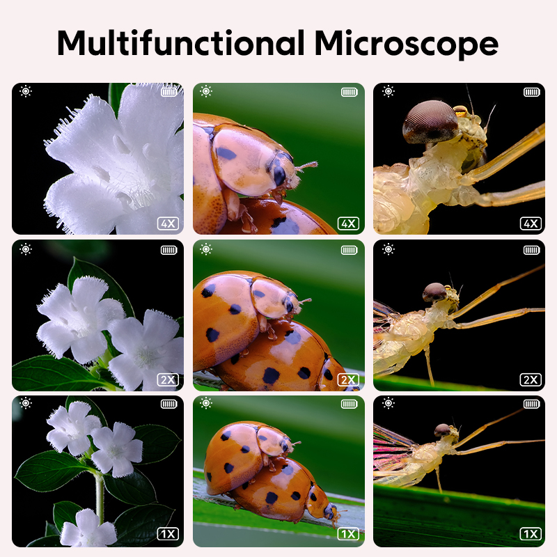 Mini optische microscoop voor  - Toys For Kids Video recensie en prijs